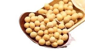 Best Quality Natural and Non- GMO Yellow Soybean Seeds / Soybean / Soya beans High Quality Canada Origin Soybeans