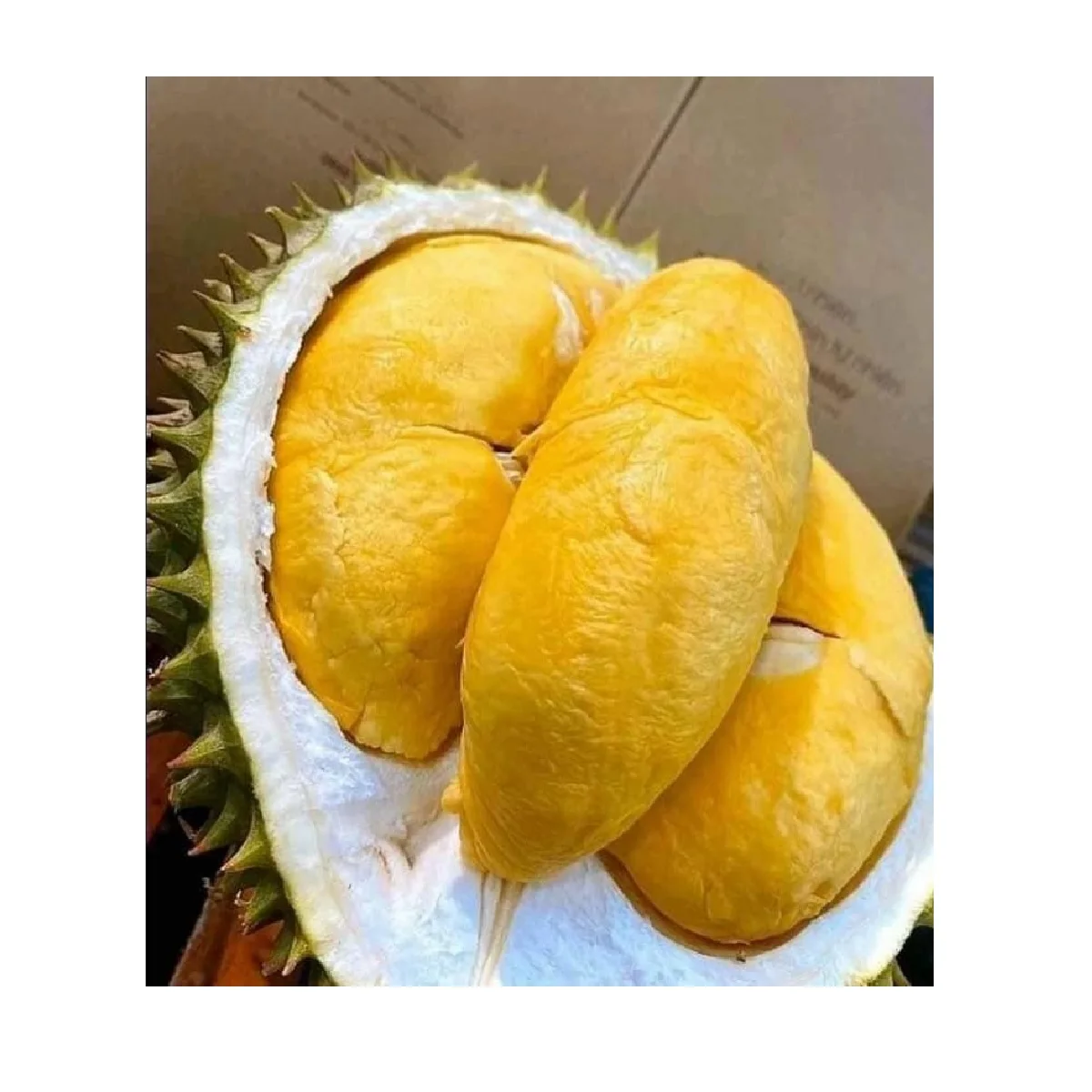 Cultivation Common Packaging OEM Shape Life  IQF Type frozen durian Frozen Durian from Vietnam +84947900124