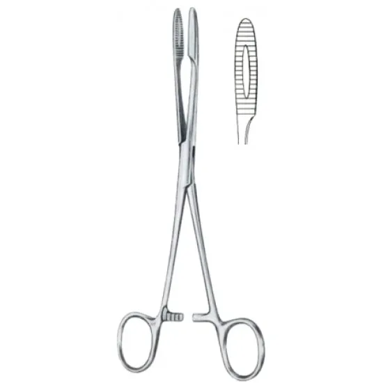 SPZA Cotton Swab Forceps/ The Basic Surgical Instruments / Stainless Steel