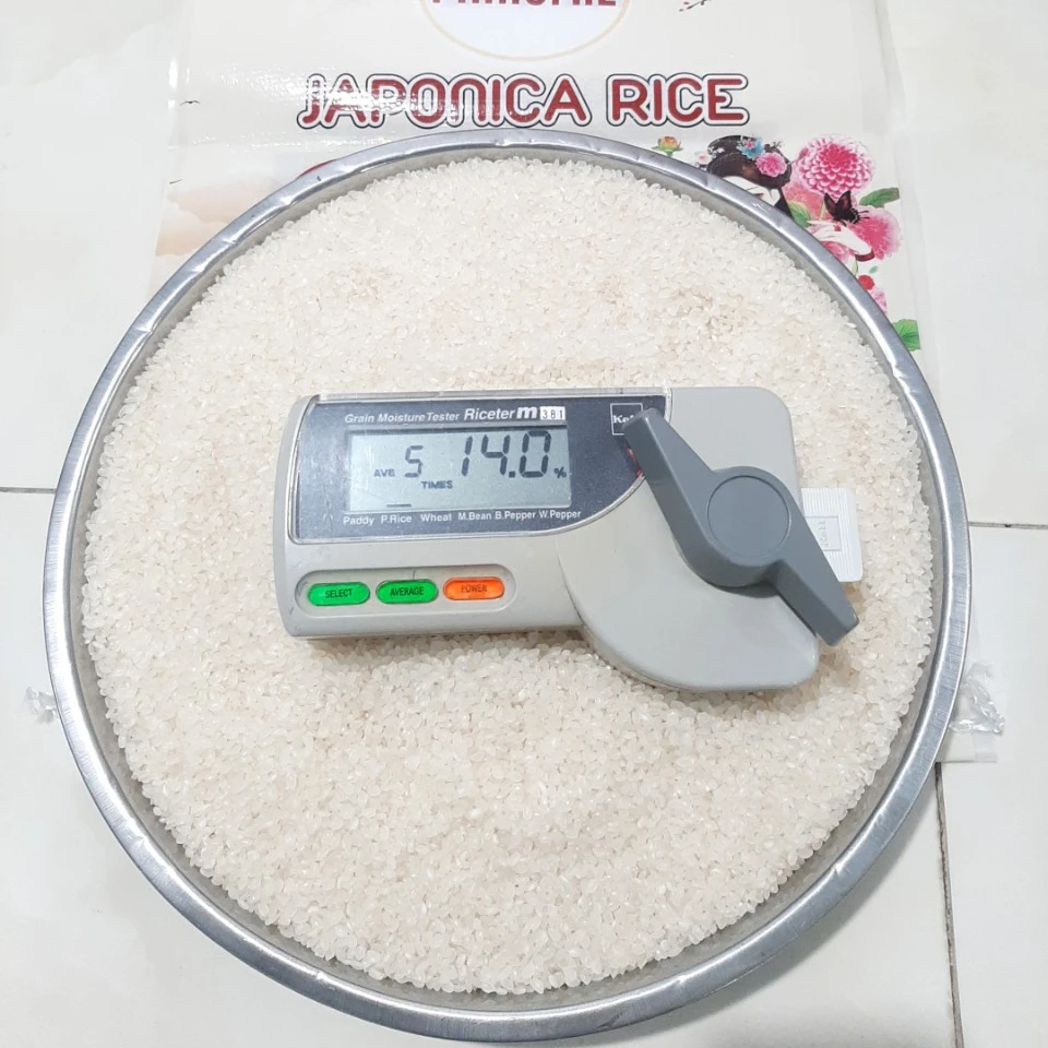 Wholesale Japanese Rice Premium Delicious White Short Grain 2023 - WA:84-975807426 Lucy