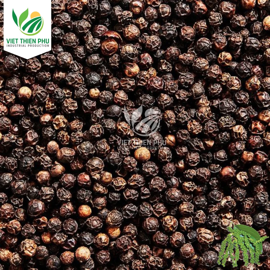Black Pepper Spices Wholesale Top High Quality Manufacturer Cheap Price Black Pepper Vietnam