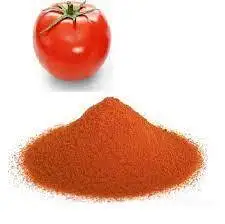 best price Sales Manufacturing  In India 100% natural  Wholesale  High Quality spray dried tomato powder