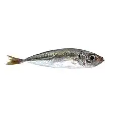 Wholesale Price Frozen Fish Supplier Cod Hake Fish Fillet Fresh Fish Frozen