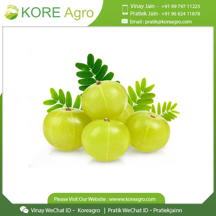 100% Pure Organic Whole Amla Beauty & Care Herbal Product Buy from Leading At Affordable Price