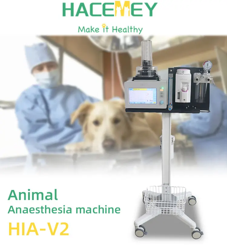 Hacemey Automatic ICU Veterinary surgical Anesthesia machine Vaporizer Anesthesia System For Vet