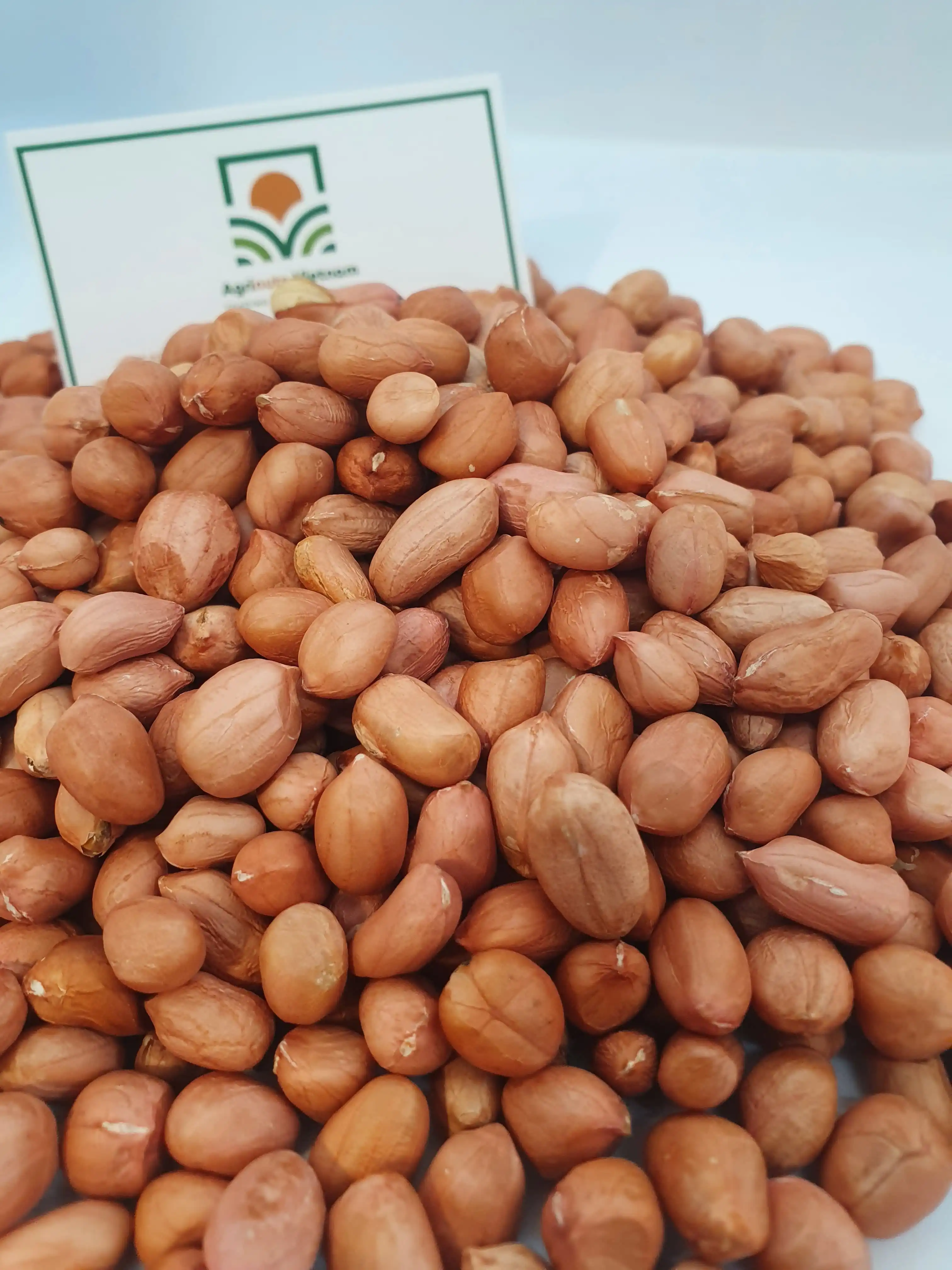 Номер 1 арахиса, размер продукта 6 мм, Вьетнам, высокое качество от производителя, Быстрая отправка