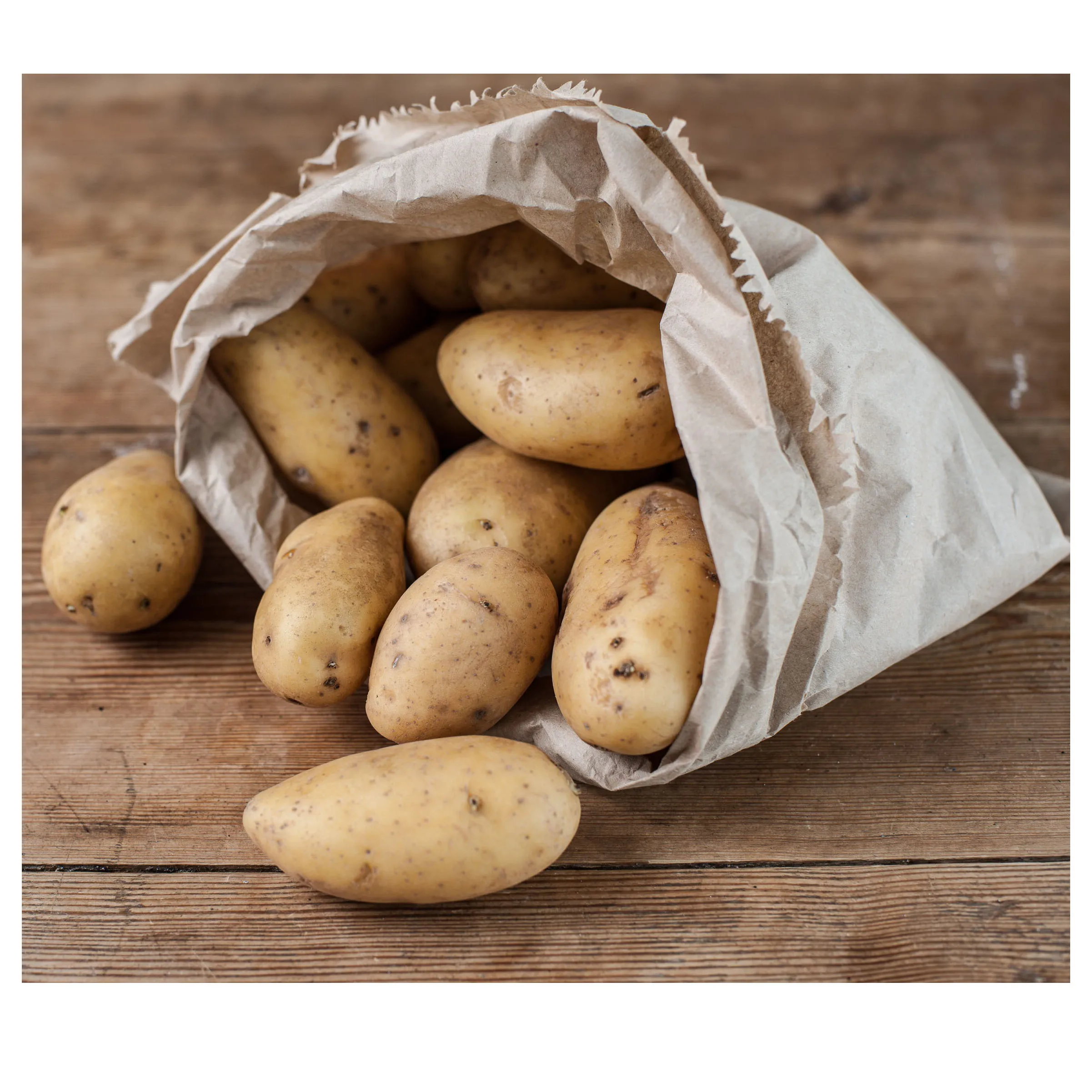 Buy fresh potatoes online cheap Quality potatoes bulk sale near me Premium quality 100% Organic fresh Potatoes