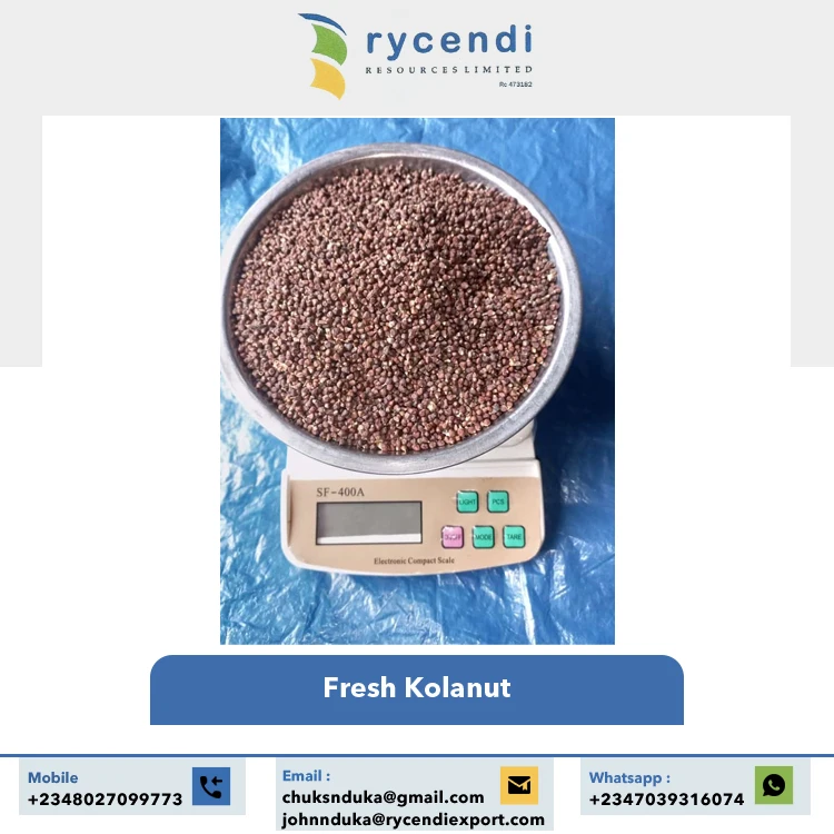 Nigerian Origin Manufacturer Exporting Premium Grade Healthy Natural Taste Alligator Pepper Seed Available at Best Market Price