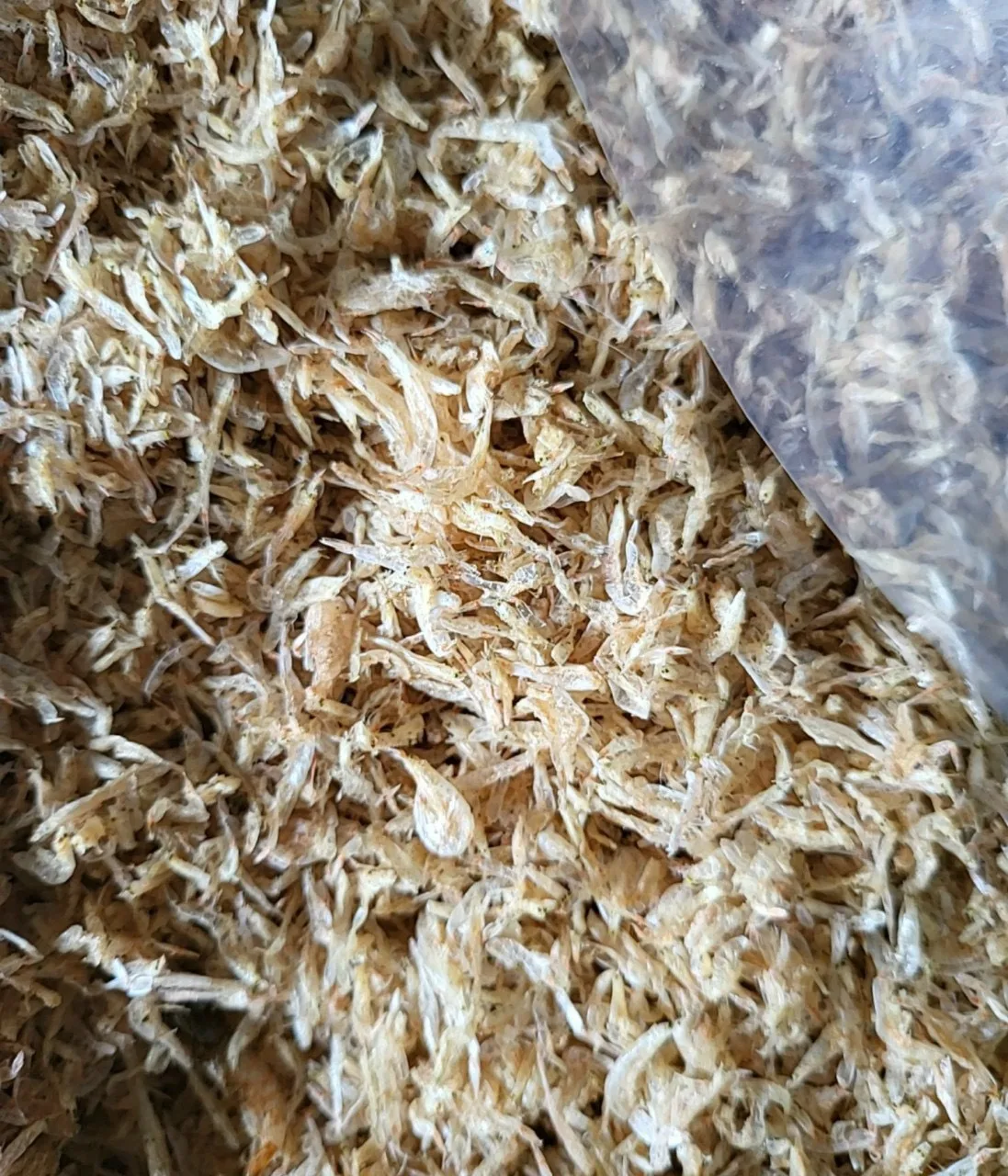 WHOLESALE DRIED BABY SHRIMP TO EXPORT - dried baby shrimp - Seafood Snacks Sun dry baby shrimp
