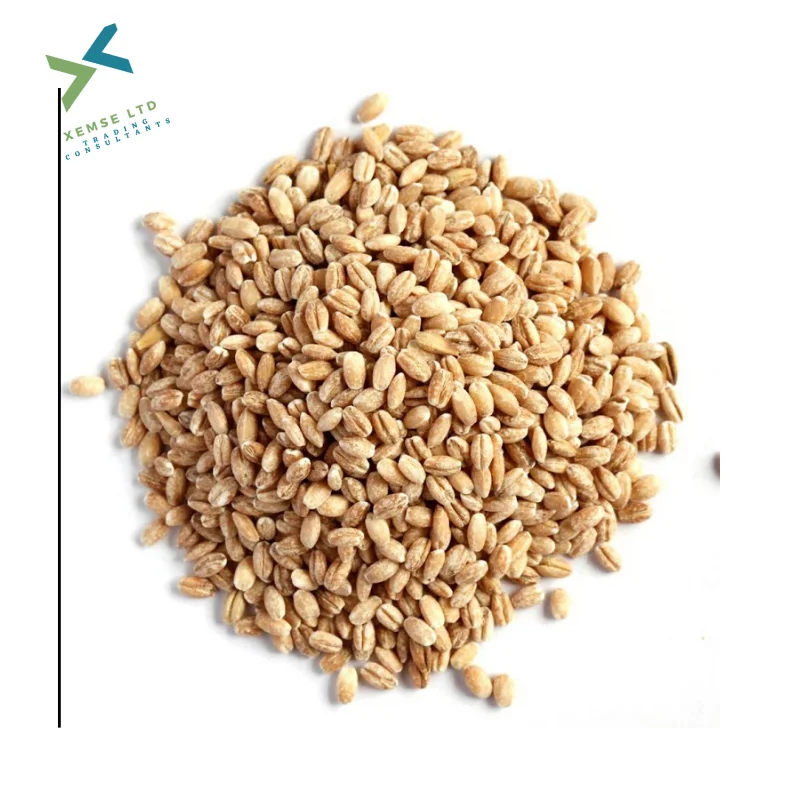 Pre-cleaned Durum Wheat /Pasta Wheat Canada Supplier / Wheat Bran Animal Feed Available