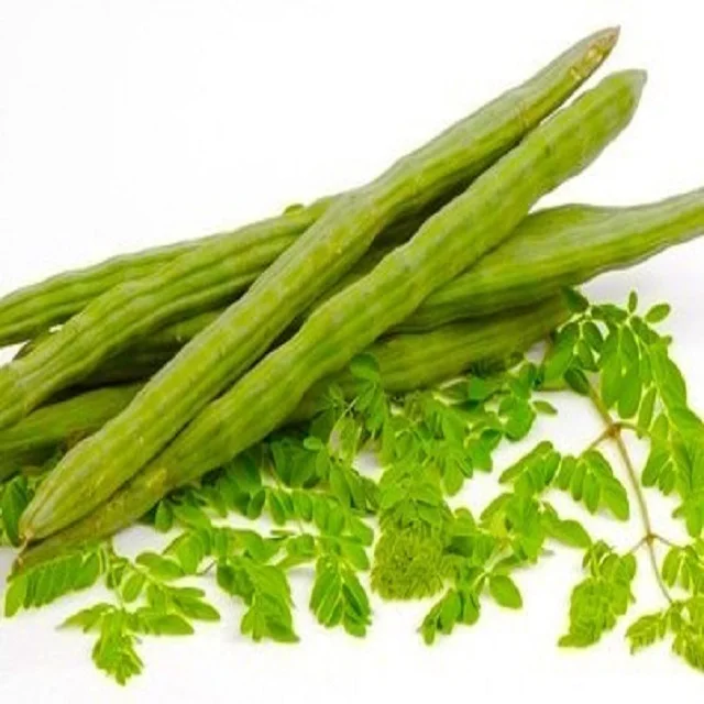 Fresh Green Drumstick Vegetable for export, Edible Fresh Drumstick Vegetable wholesale supply UK