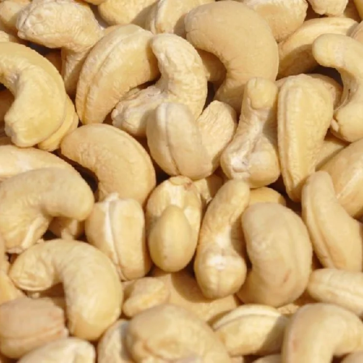 Top Grade Dried White Cashew Nuts Vietnamese Roasted Cashew Nuts Wholesale Good Quality Organic Raw Cashew Nuts For Sales