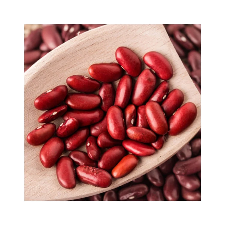 Wholesale Supplier  For Sale In Cheap Price Red Kidney Beans 100% Organic Dried Kidney Bean Top Quality Dry Beans
