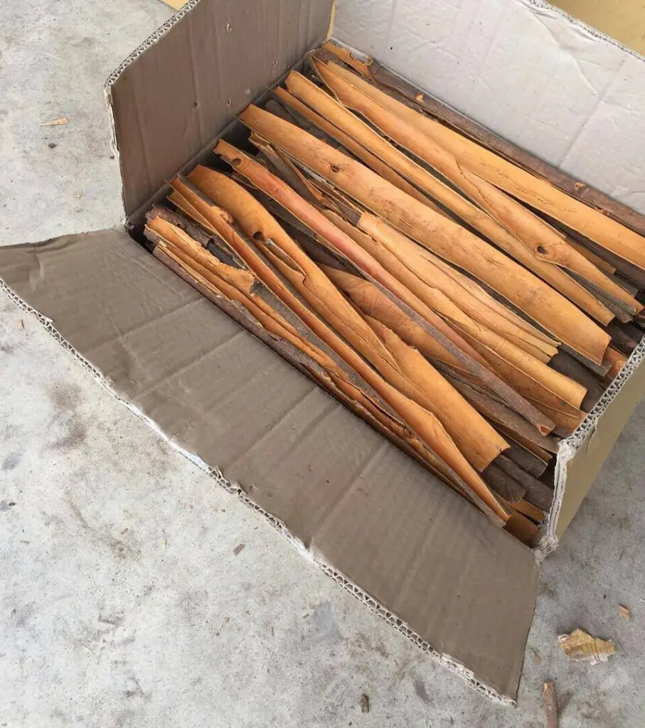 Dried cassia Splits Hot product spices & herbs100% Natural Dried Cinnamon from Vietnam 2022 (+84 393 411 961)