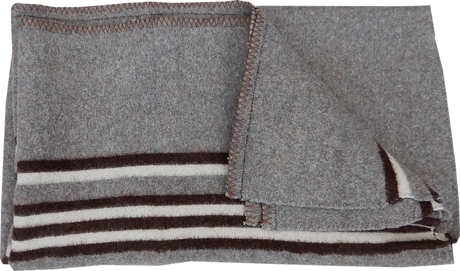 Wholesale Wool Stripe Institutional Blankets 55% Polyester 35% Acrylic 10% Mix Fiber Woven in India Avior Brand