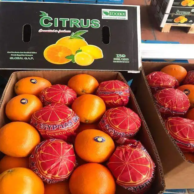 Citrus Fresh Orange new season