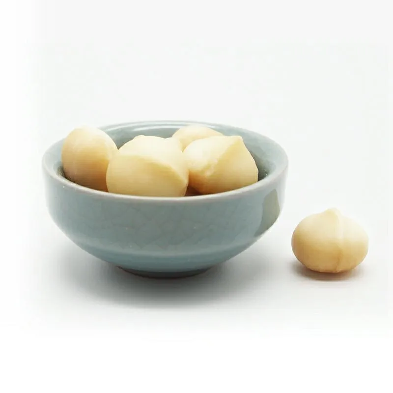 Premium Grade Macadamia Nuts Raw Roasted Nuts Healthy Food Macadamia in Shell 20-25mm
