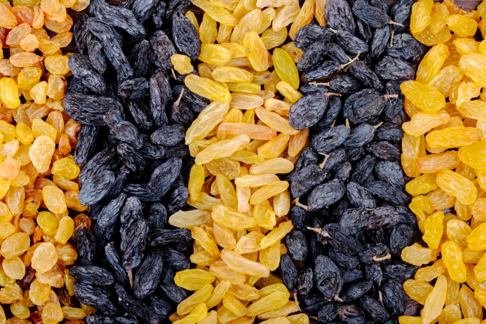 Quality Assured Natural Dry Grapes ( Raisin ) Wholesale Bulk Purchase Dry Raisins / Dry Fruit Manufacturer From India