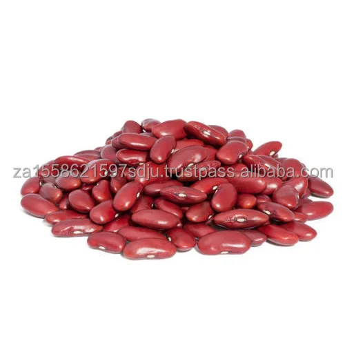 kidney-beans-500x500.jpg