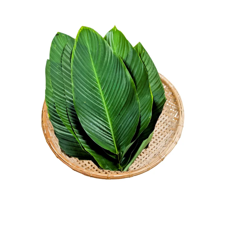 Dong Leaf For Wrapping Food Eco Friendly And Decorating Food For Food Stuff Replace To Plastic Bag Biodegradable Supplier