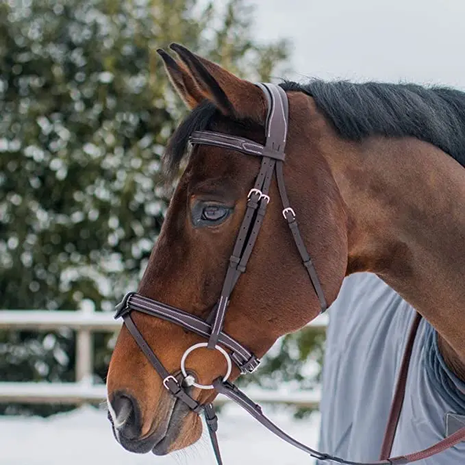 Comfort Soft Lined Mono Crown Snaffle Bridle with U Shape Detachable Flash Snaffle Horse English Bridle & Rubber Reins.