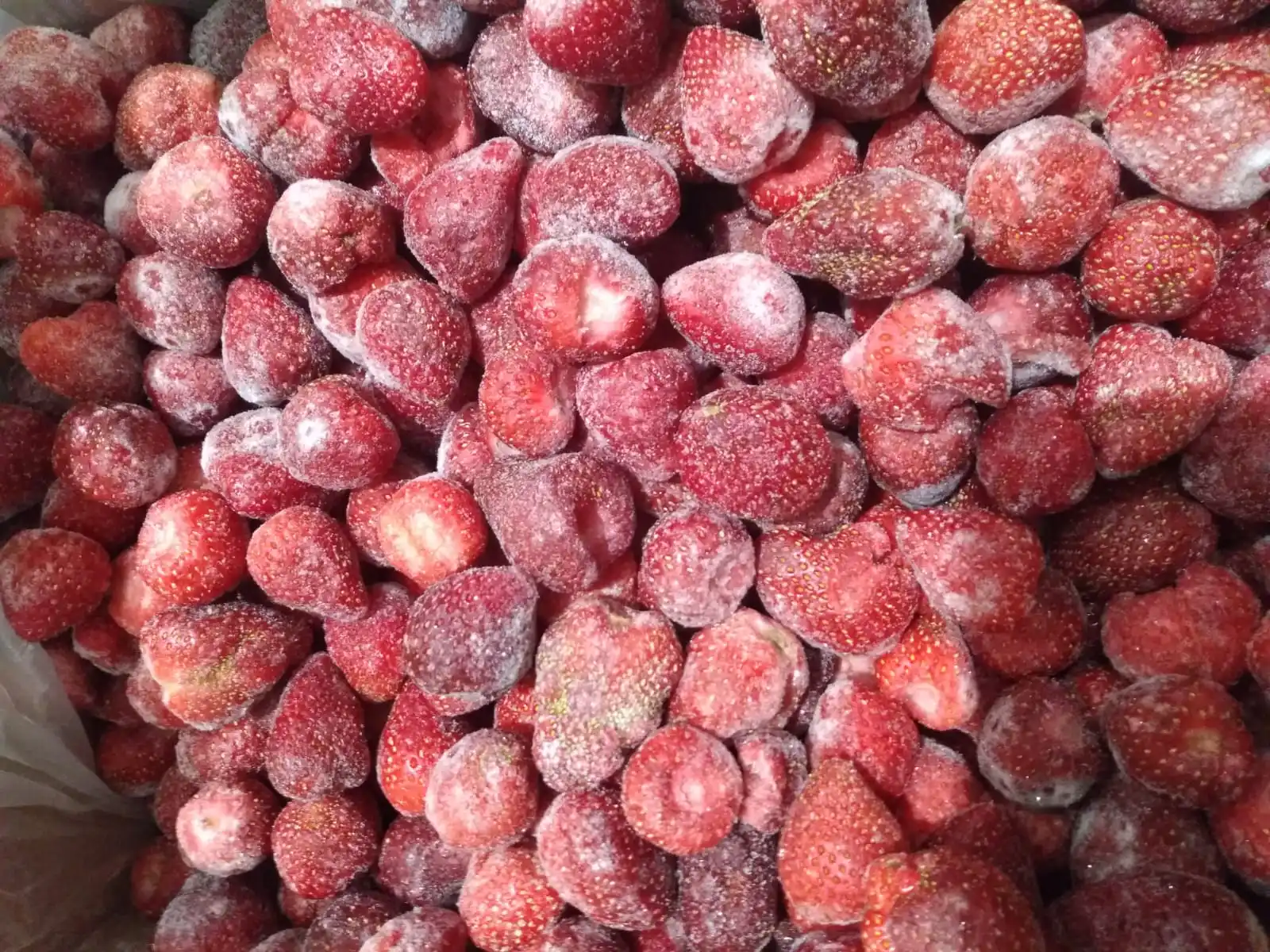 WHOLESALE FREEZE DRIED STRAWBERRY HIGH QUALITY FROM TURKEY IQF WHOLE FROZEN STRAWBERRY AGROWELL TURKISHGOODS