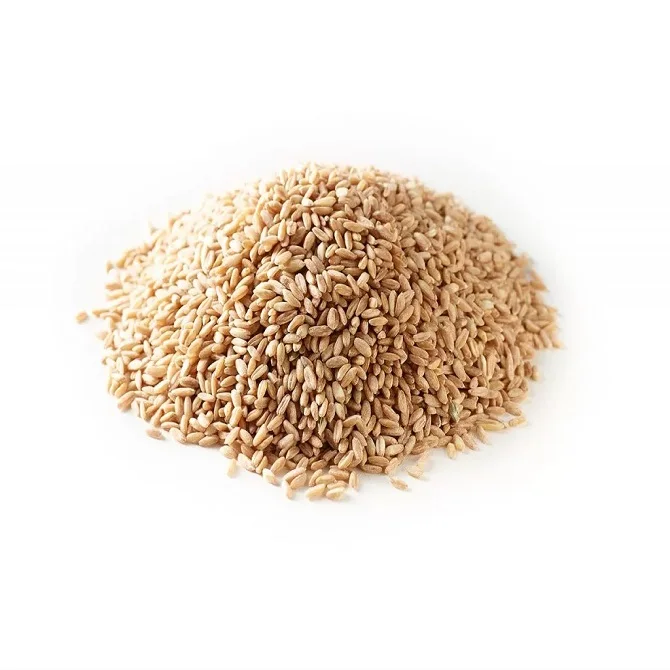 Organic Hard Red Spring Wheat | Milling Wheat Grain Bulk