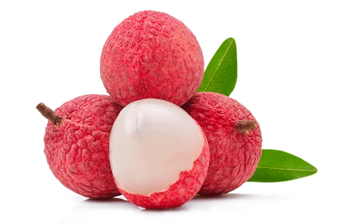 FRESH AND PREMIUM QUALITY LYCHEE FROM VIET NAM - GOOD PRICE AVAILABLE FOR WHOLESALE EXPORT