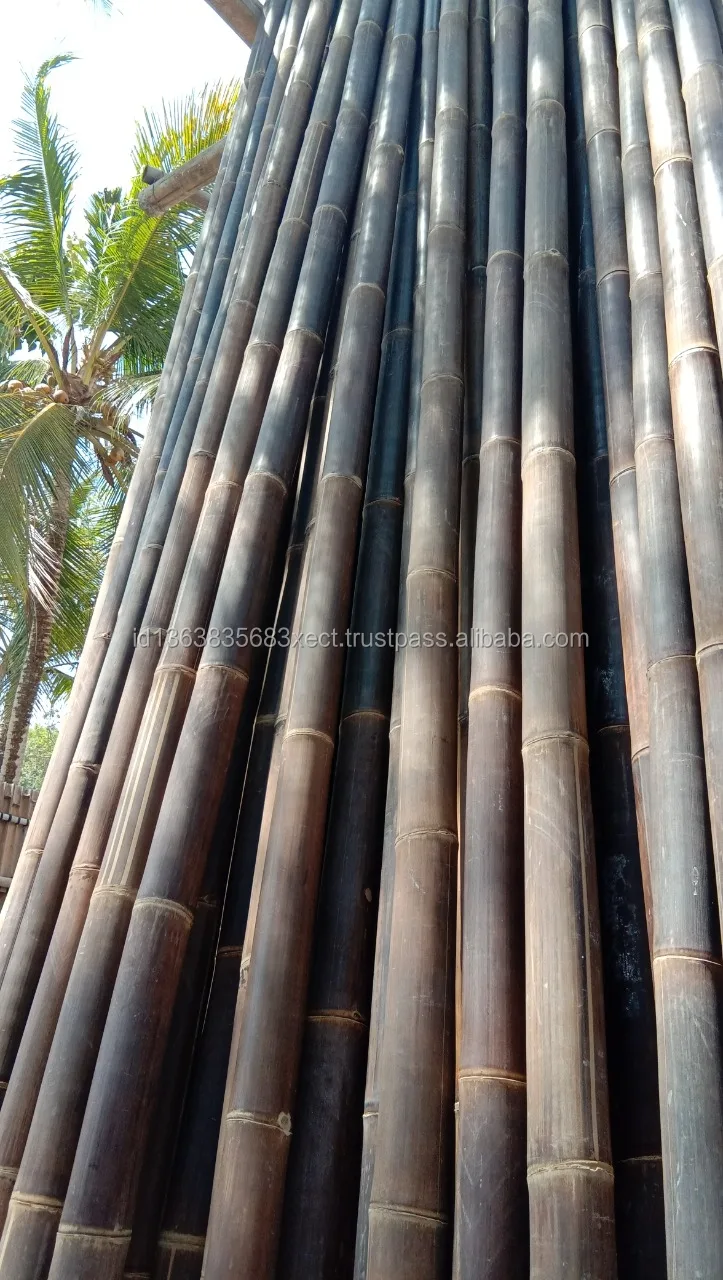 Высококачественные индонезийские бамбуковые палочки тропический черный бамбук обработанный для строительства горячая Распродажа 600 см