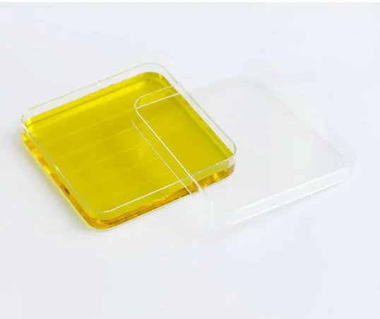 Disposable Medical PS Petri Dish With Grid Quality Assured Plastic Tissue Culture Petri Dish Supplier From India