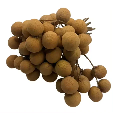 Organic Fresh Longan Fruit/Dried Longan Fruit