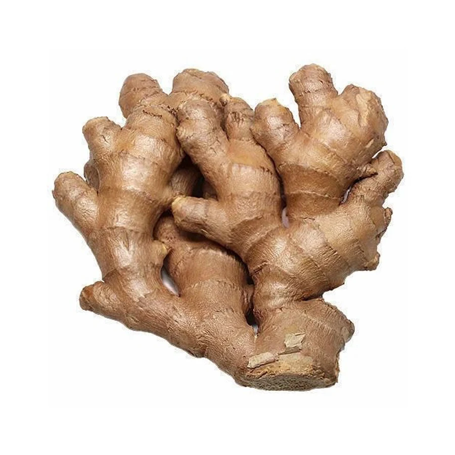New Fresh Ginger for Wholesale Dry in Bulk Sale Low Price