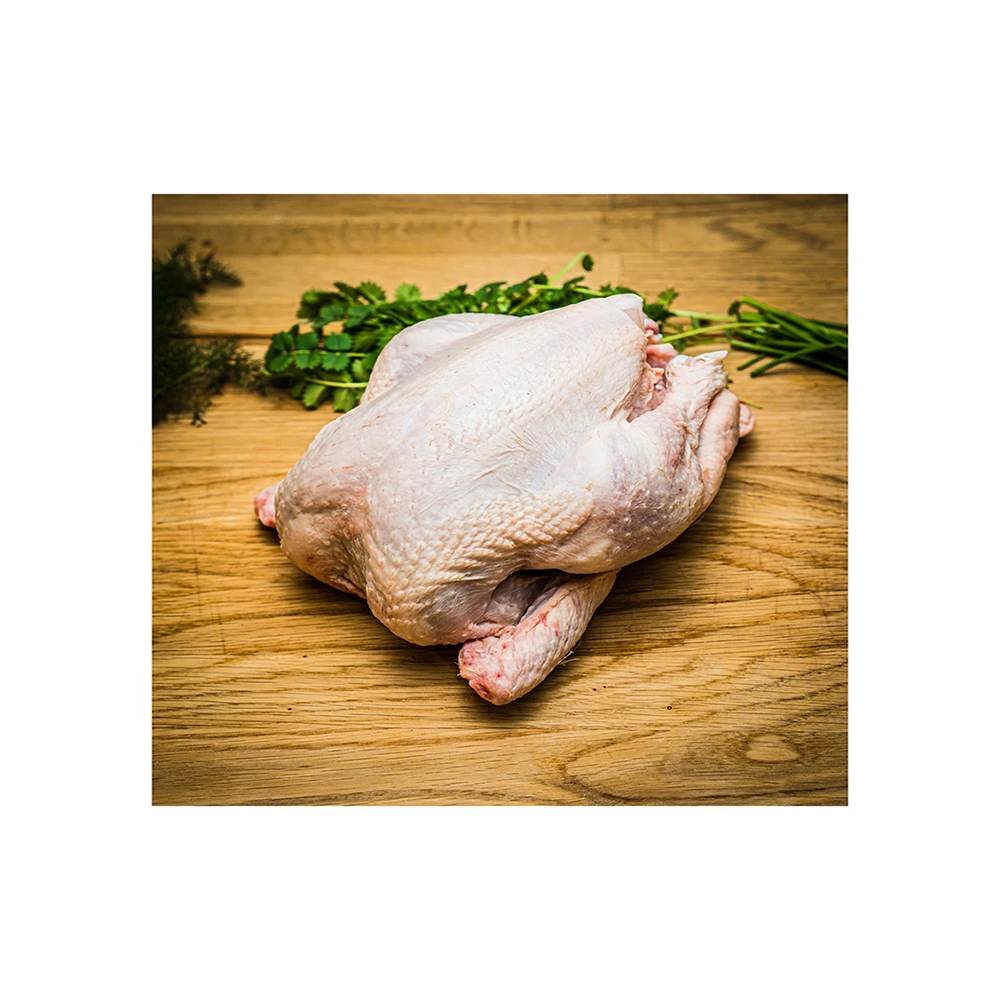 Halal Frozen Whole Chicken From Poland For Sale