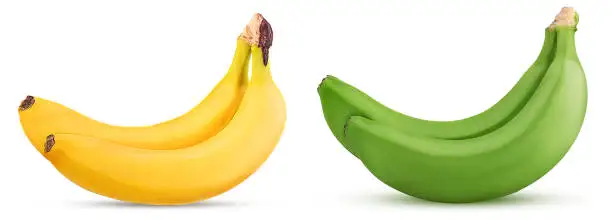 Fresh Green Banana
