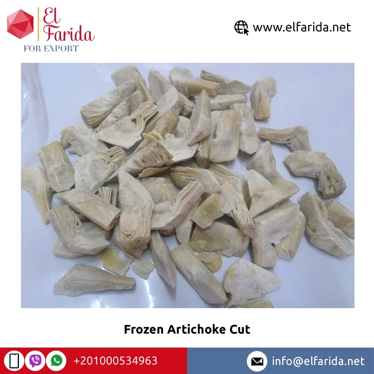 Top Selling Premium Grade Frozen Vegetables Artichoke Cut at Reasonable Market Price from Egypt Origin Exporter