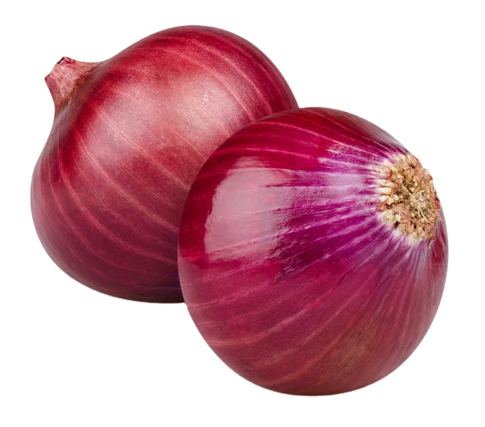 Fresh Yellow And Red Onion Best Quality Best Prices