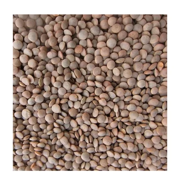 BULK RED LENTILS/ CANADIAN RED LENTILS/ BUY NOW RED LENTILS