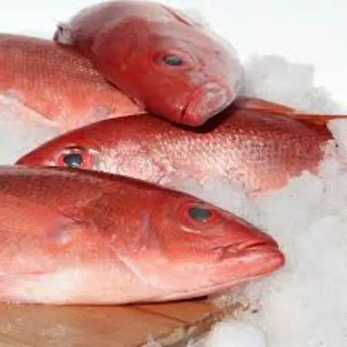 Quality Round Big Eyes Scad Fish Natural Red Color Frozen Whole Round Big Eyes Scad Fish With 0.05% Max Moisture From Malaysia