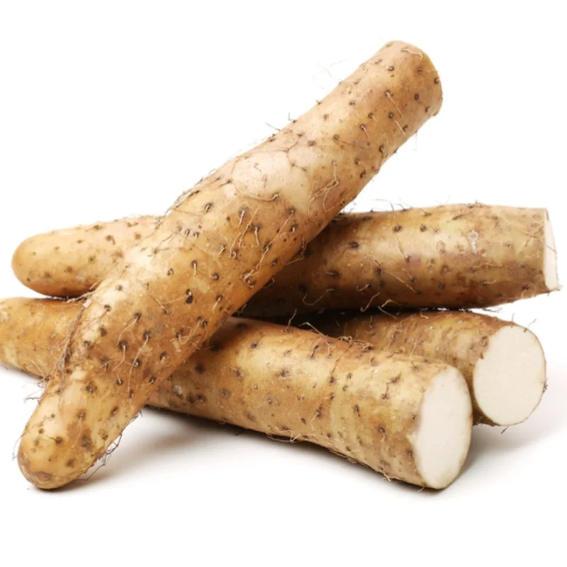 Лучшая заводская цена на свежие овощи Burdock доступен в наличии оптом с