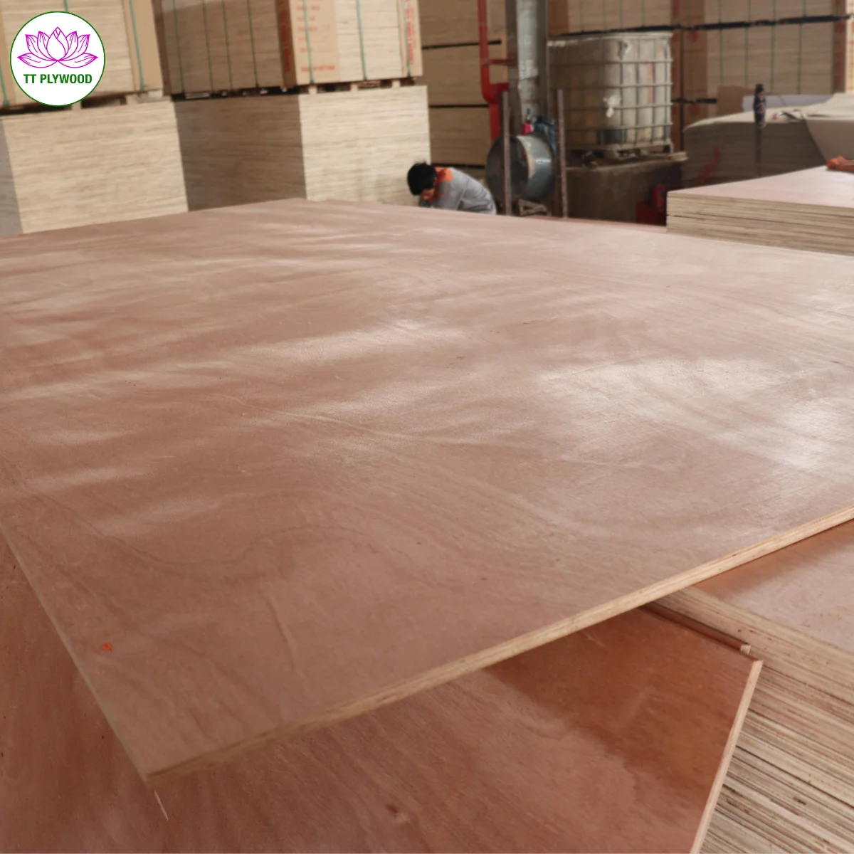 Commercial Plywood Red from Vietnam Cheap Price 6mm 18mm 1-Year Warranty D Acacia Styrex Eucalyptus Surprisingly