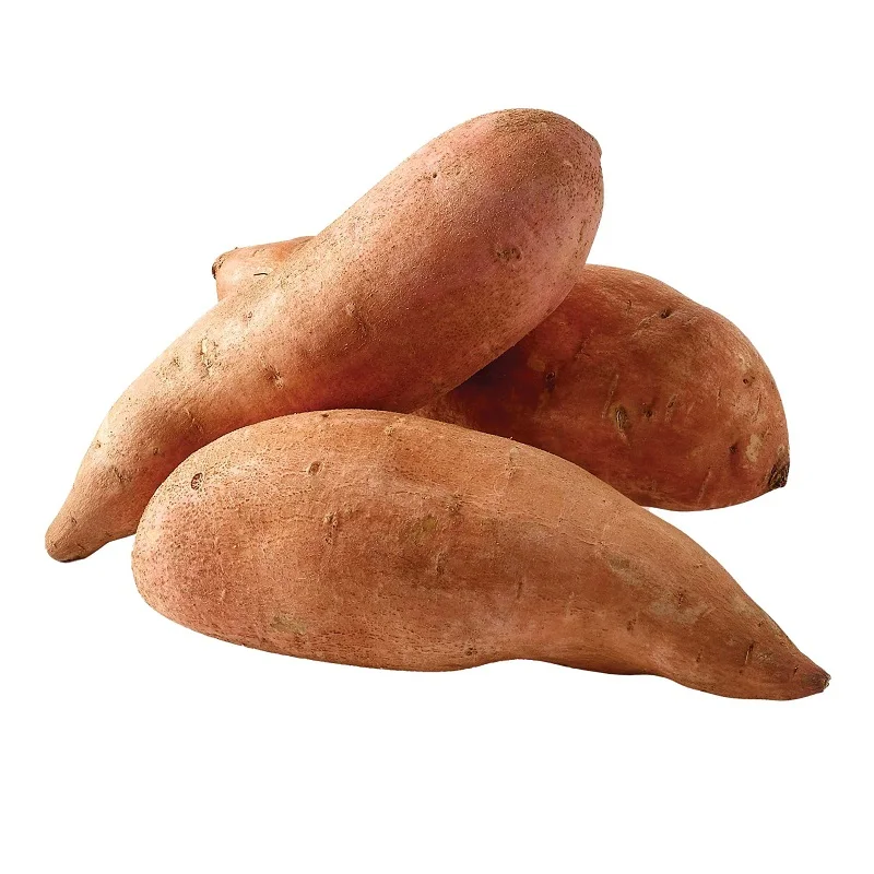 Best Quality Hot Sale Price Fresh Vegetables Sweet Potatoes