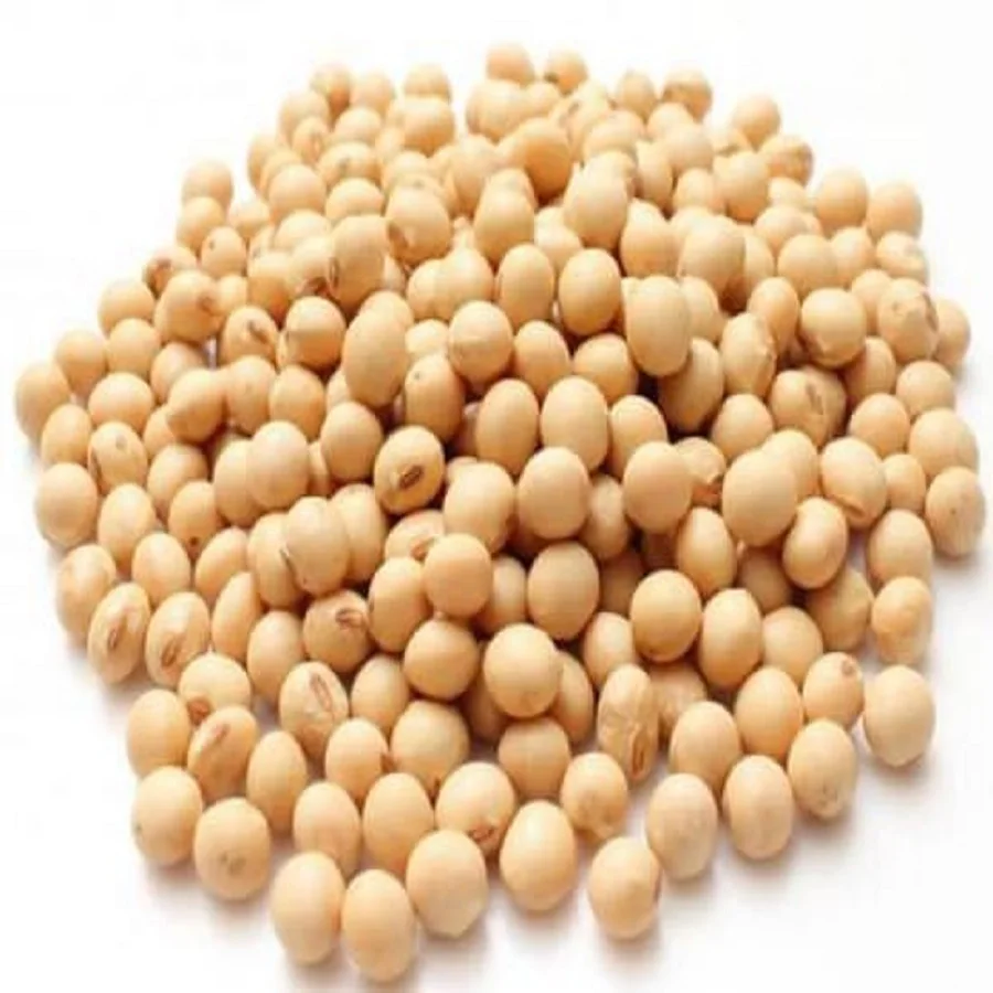 GMO and Non GMO Soyabean/Soybean for Sale Soy Beans Soya Soya Bean Grain Common High Quality