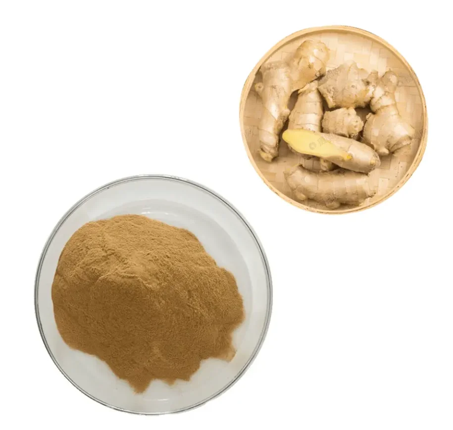 Top Sale ginger root powder Food Grade Dried Ginger Root Extract 5% 10% 20% Gingerol Ginger Extract Powder Low price