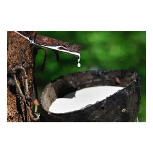 RAW NATURAL RUBBER LATEX LIQUID HA 60% DRC HIGH QUALITY PACKING IN DRUMS LATEX RUBBER LATEX LIQUID