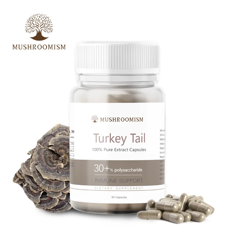 Healthcare Turkey Tail Mushroom Powder Extract Capsule Reishi Natural Chinese Brand OEM Customize Superfood