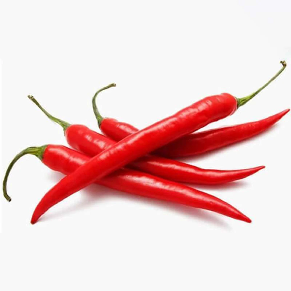 Fresh Chilli Agricultural Products Organic Products Chili Manufacturer Using For Food Daily Made In Vietnam
