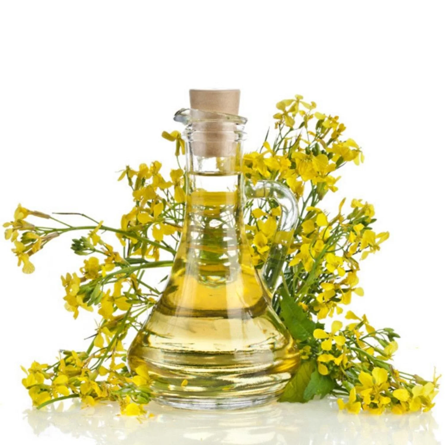 100 % Pure Refined Rapeseed Oil 100% Crude & Refined Rapeseed Oil