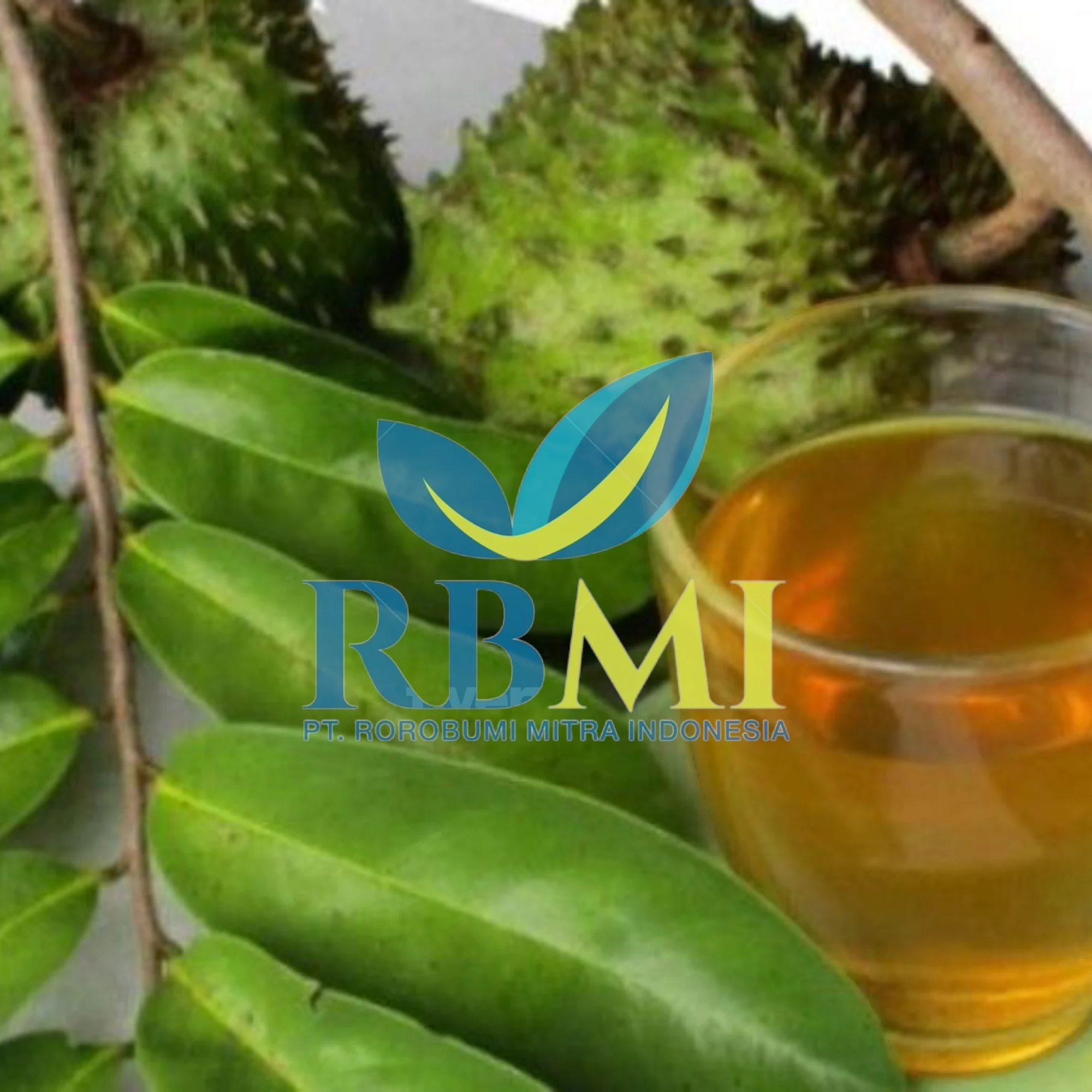 premium quality soursop leaves FROM Indonesia with COMPETITIVE PRICE
