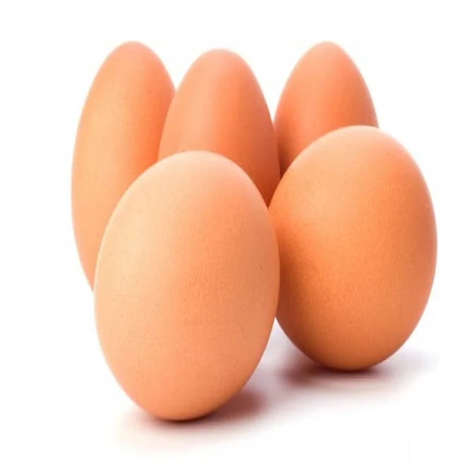 Hatching Eggs Chicken Mixed breed/hybrid | Mixed variety chicken eggs