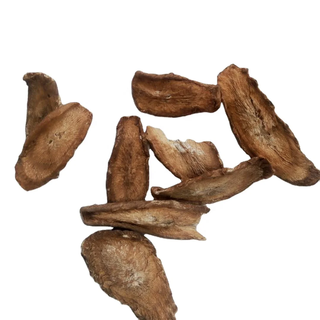 Premium selection fresh golden Burdock